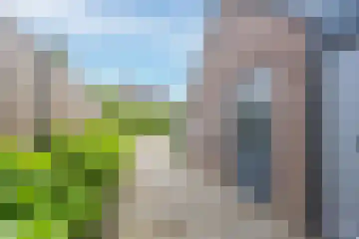 Veertien Hond 110 Tiel thumbnail 10