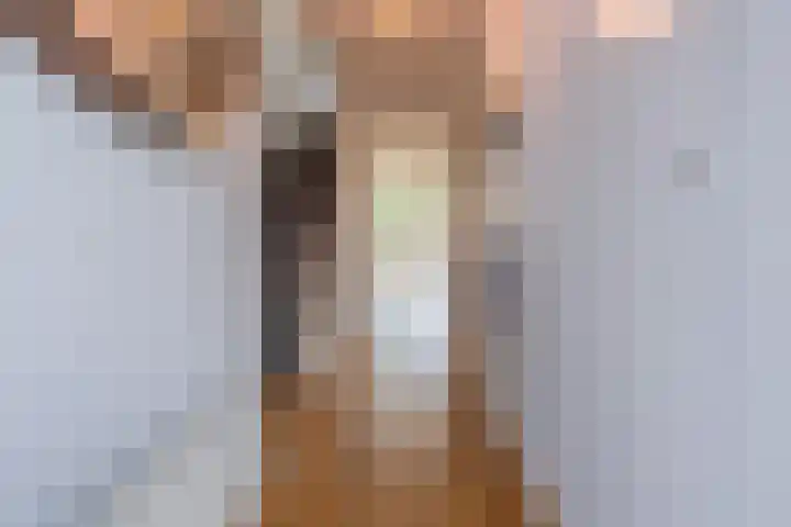 Veertien Hond 110 Tiel thumbnail 12