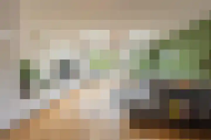 Veertien Hond 110 Tiel thumbnail 13