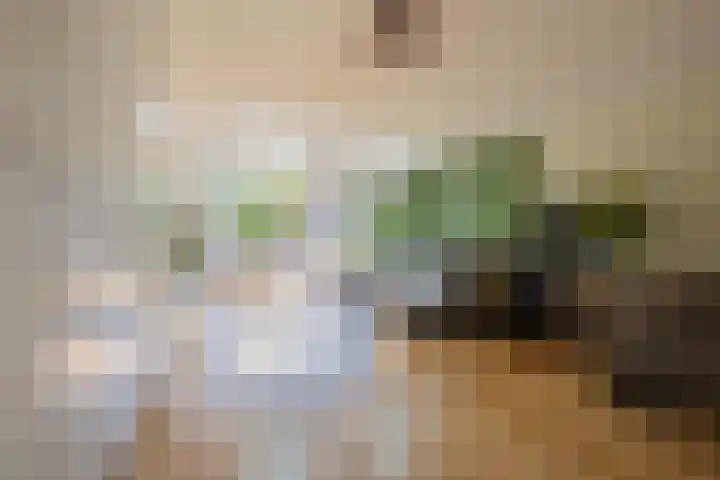 Veertien Hond 110 Tiel thumbnail 15