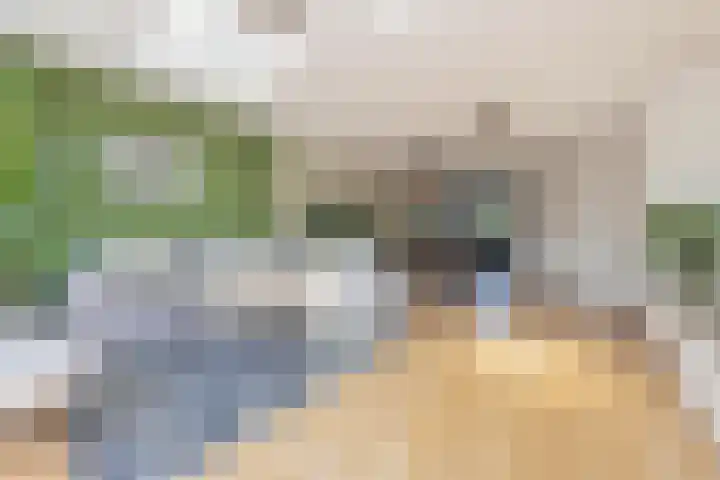 Veertien Hond 110 Tiel thumbnail 19