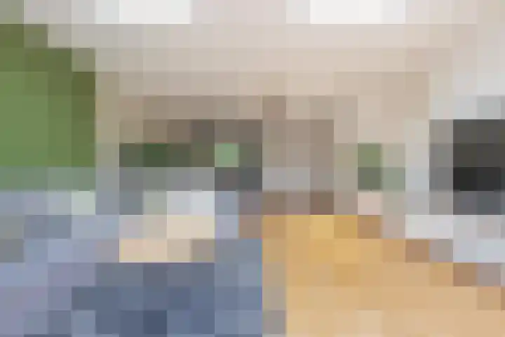 Veertien Hond 110 Tiel thumbnail 20