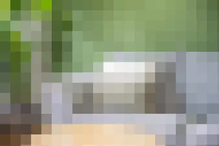Veertien Hond 110 Tiel thumbnail 21