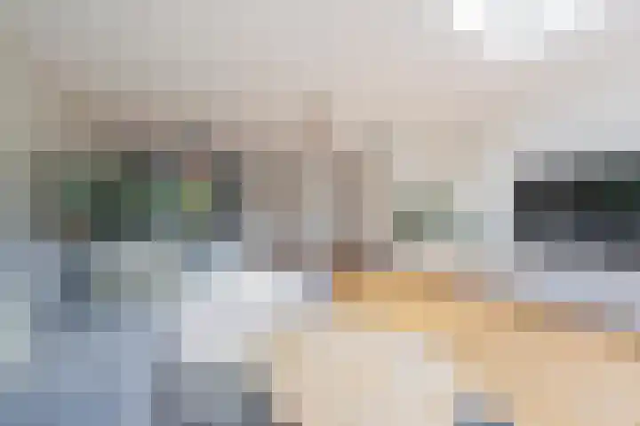 Veertien Hond 110 Tiel thumbnail 22