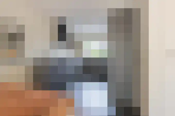 Veertien Hond 110 Tiel thumbnail 24