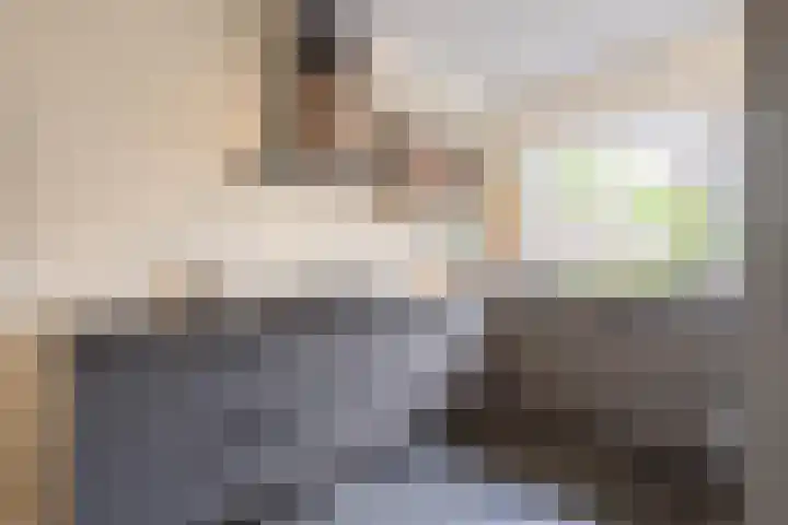 Veertien Hond 110 Tiel thumbnail 26