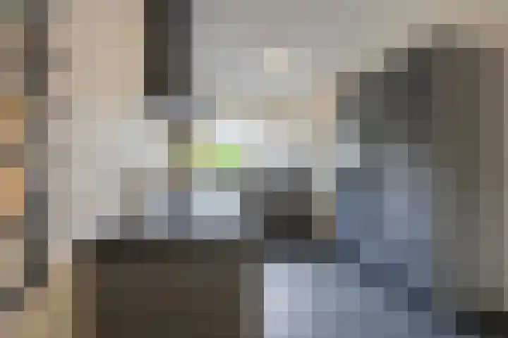 Veertien Hond 110 Tiel thumbnail 27
