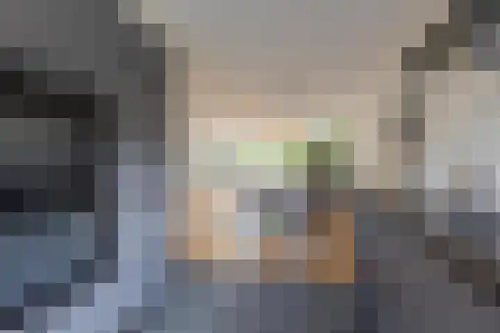 Veertien Hond 110 Tiel thumbnail 29