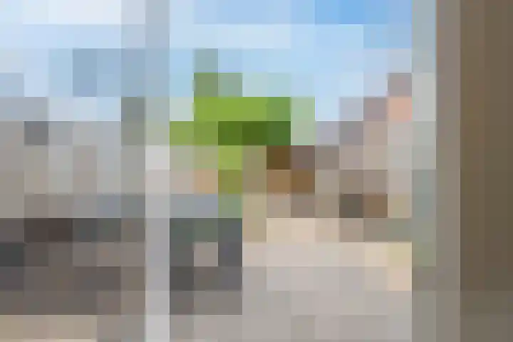Veertien Hond 110 Tiel thumbnail 30