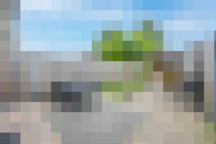 Veertien Hond 110 Tiel thumbnail 31