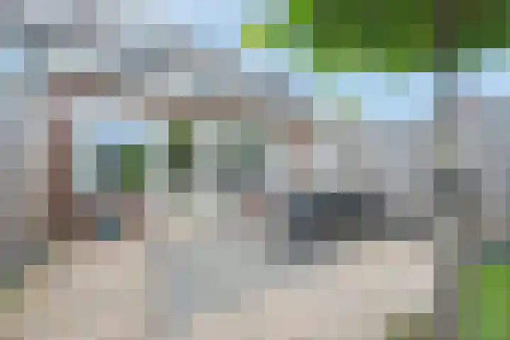 Veertien Hond 110 Tiel thumbnail 32
