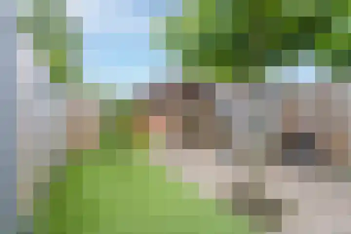 Veertien Hond 110 Tiel thumbnail 33