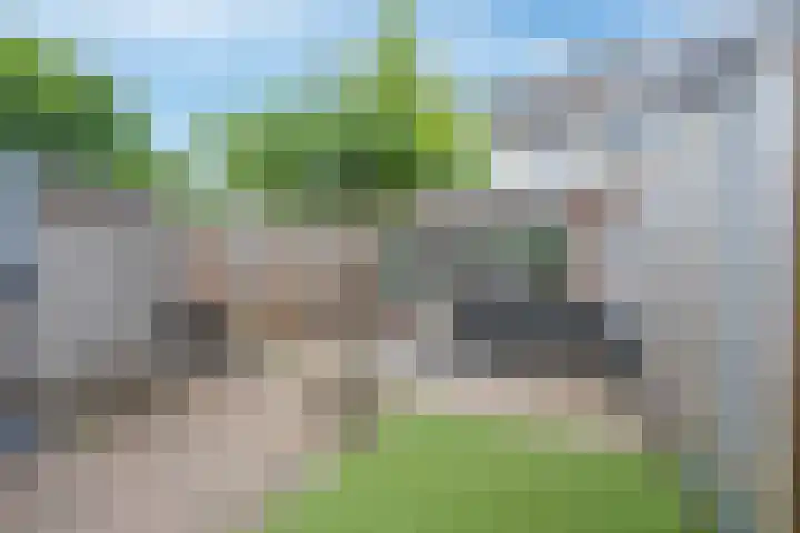 Veertien Hond 110 Tiel thumbnail 34
