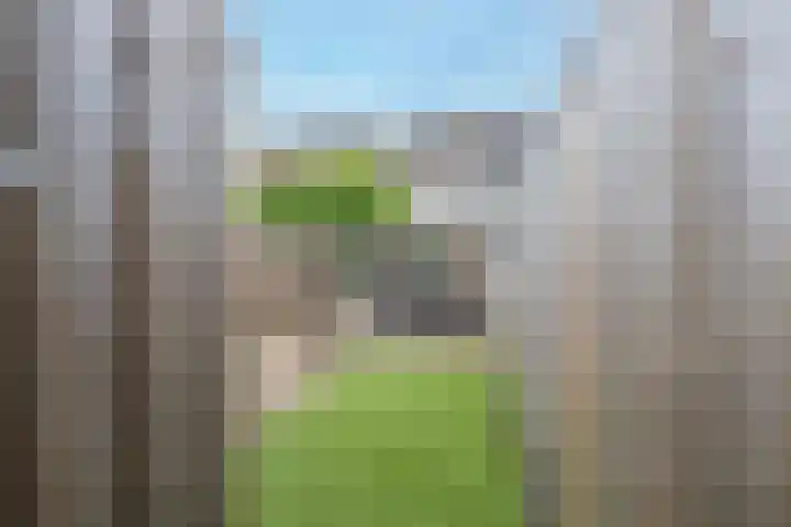 Veertien Hond 110 Tiel thumbnail 35
