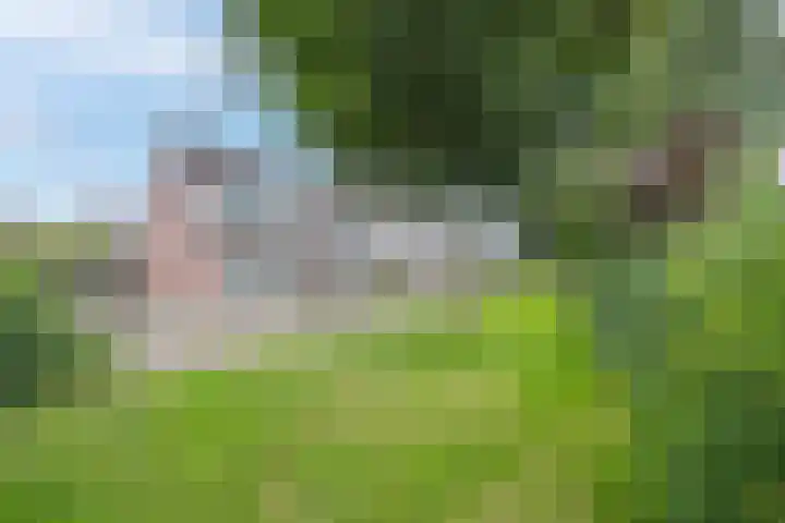 Veertien Hond 110 Tiel thumbnail 36