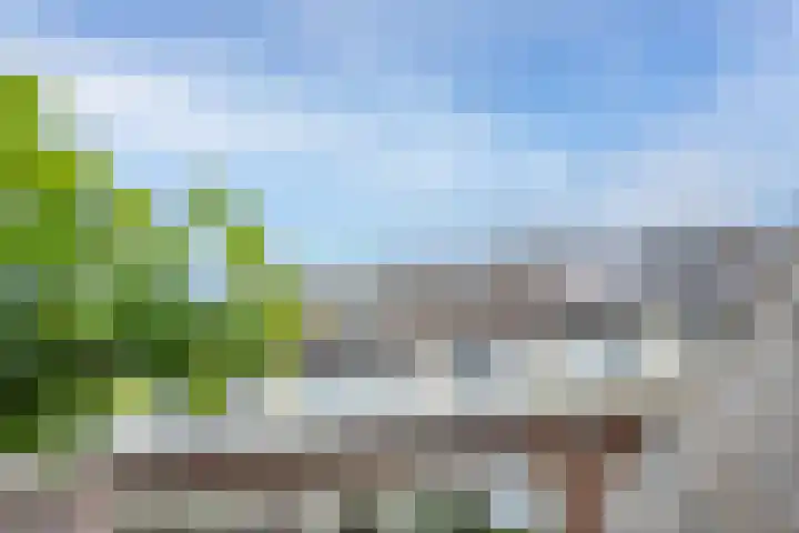 Veertien Hond 110 Tiel thumbnail 37