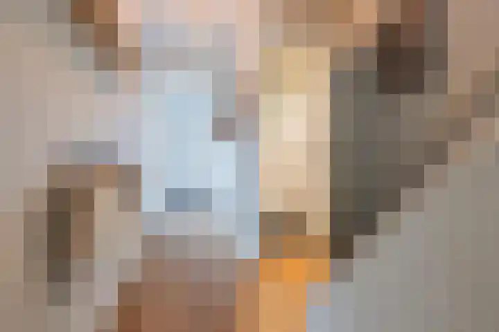 Veertien Hond 110 Tiel thumbnail 38