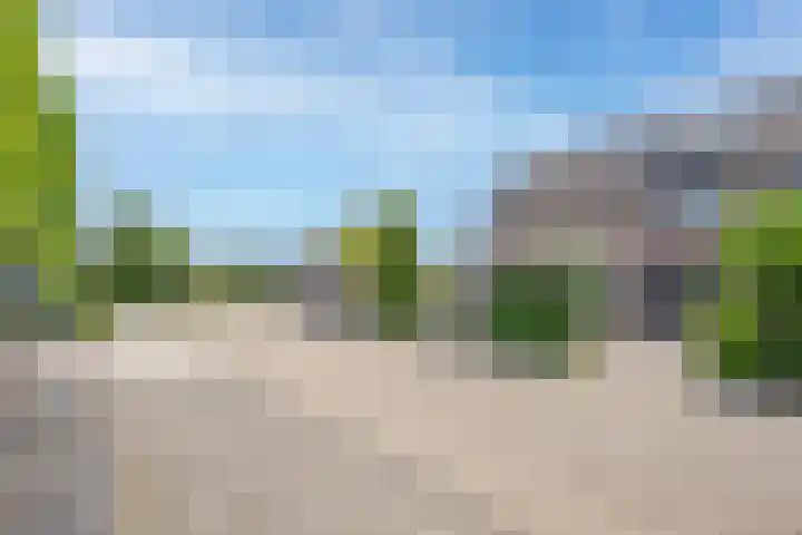 Veertien Hond 110 Tiel thumbnail 4
