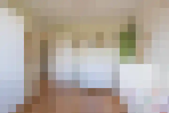 Veertien Hond 110 Tiel thumbnail 43