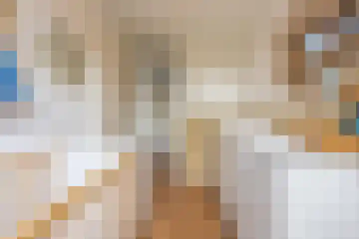 Veertien Hond 110 Tiel thumbnail 45