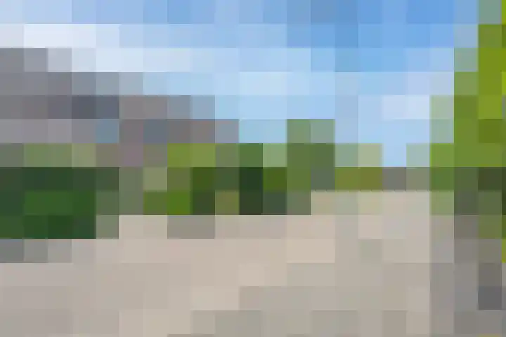 Veertien Hond 110 Tiel thumbnail 5