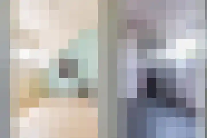 Veertien Hond 110 Tiel thumbnail 50
