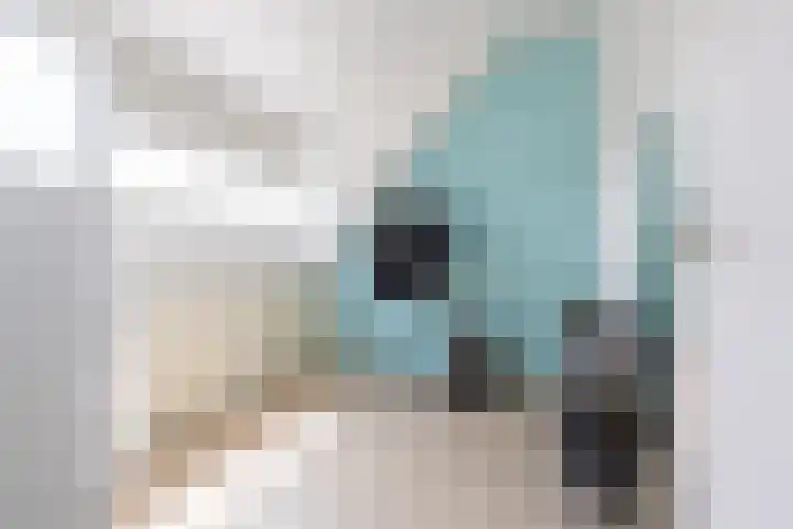 Veertien Hond 110 Tiel thumbnail 51