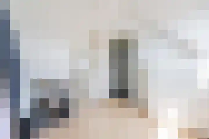 Veertien Hond 110 Tiel thumbnail 52