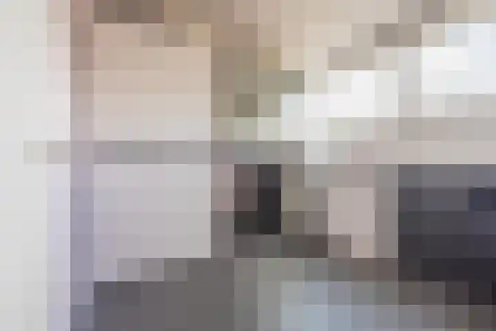 Veertien Hond 110 Tiel thumbnail 53