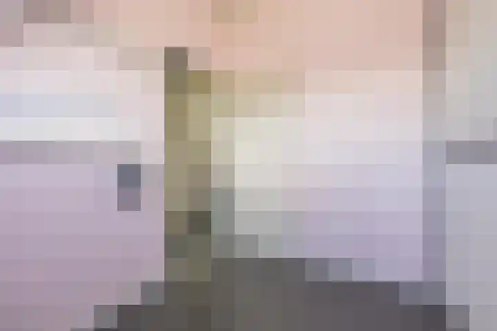 Veertien Hond 110 Tiel thumbnail 54