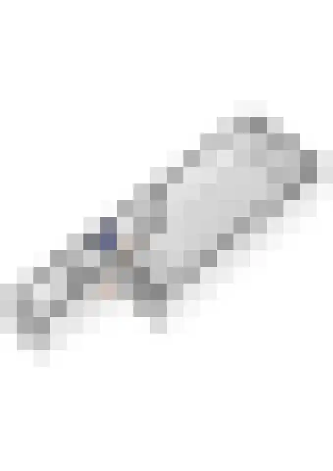 Veertien Hond 110 Tiel thumbnail 56