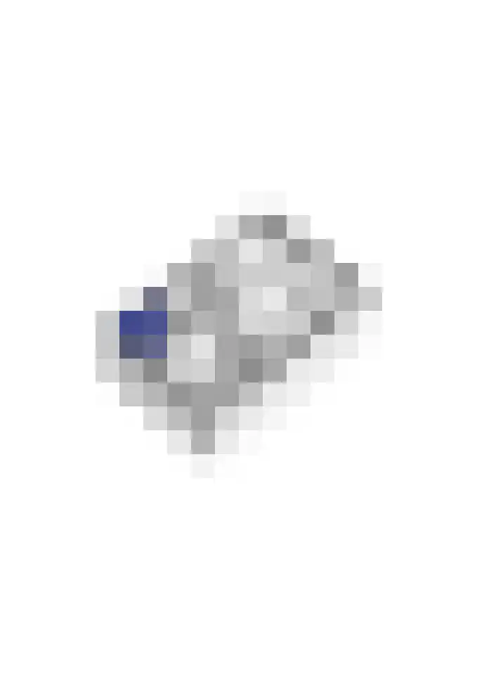 Veertien Hond 110 Tiel thumbnail 58