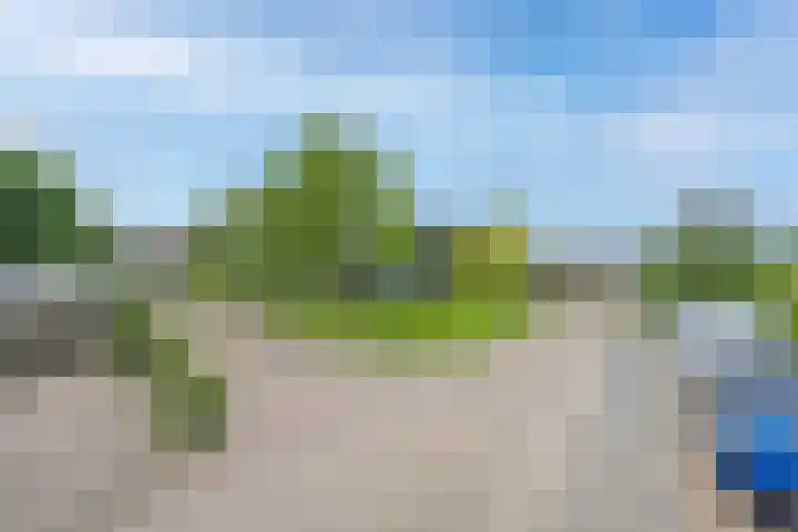 Veertien Hond 110 Tiel thumbnail 6