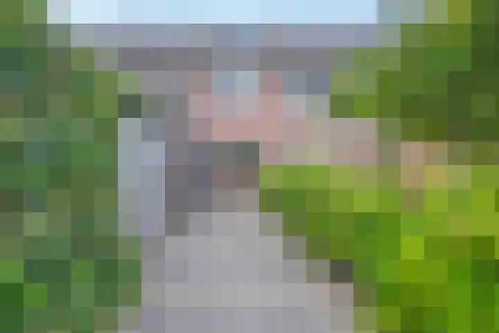 Veertien Hond 110 Tiel thumbnail 7