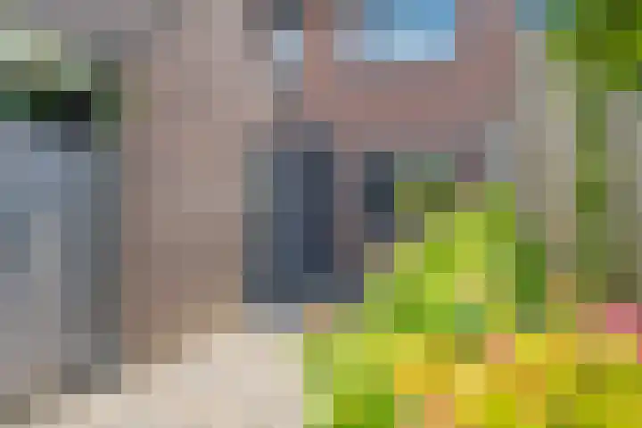 Veertien Hond 110 Tiel thumbnail 8