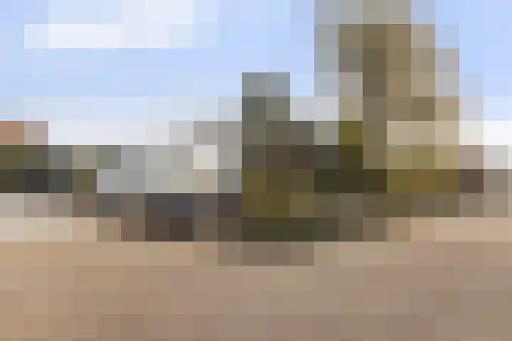 Veerweg 10 Numansdorp thumbnail 18