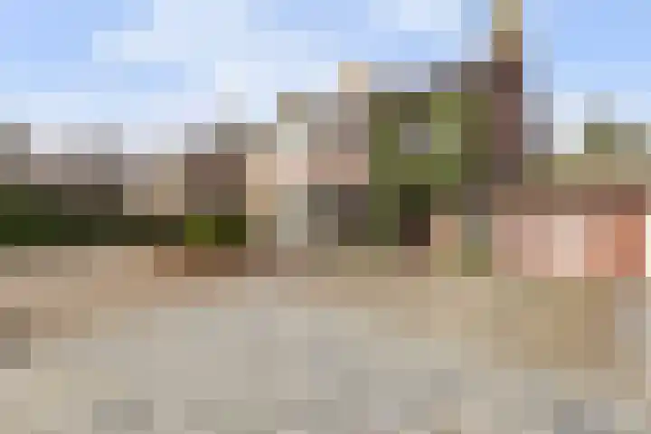 Veerweg 10 Numansdorp thumbnail 4