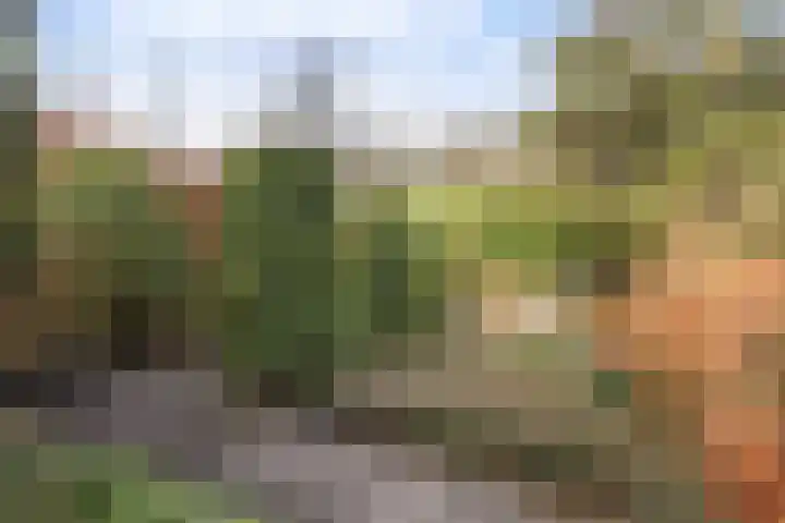 Veerweg 10 Numansdorp thumbnail 44