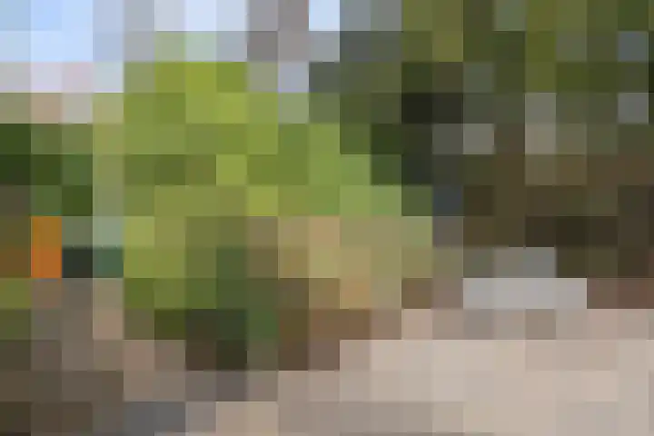 Veerweg 10 Numansdorp thumbnail 46