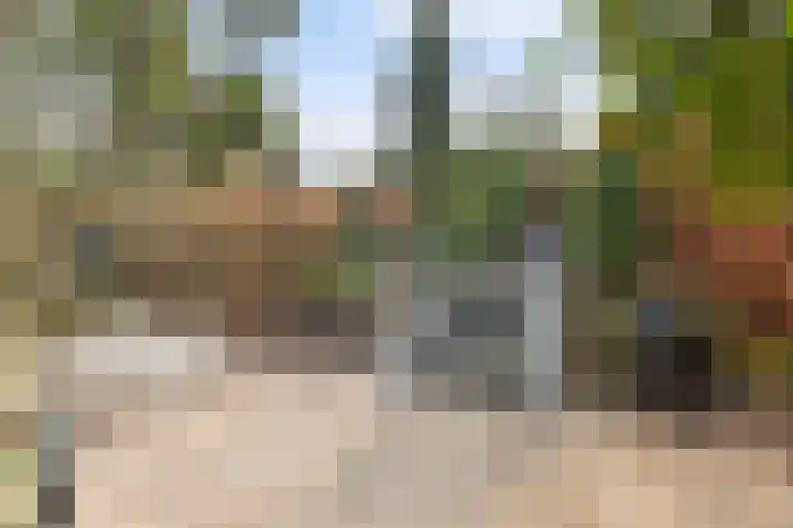 Veerweg 10 Numansdorp thumbnail 48
