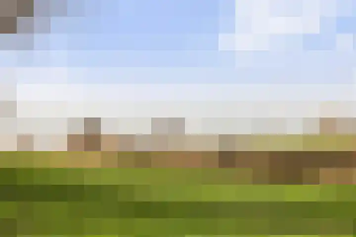 Veerweg 10 Numansdorp thumbnail 57