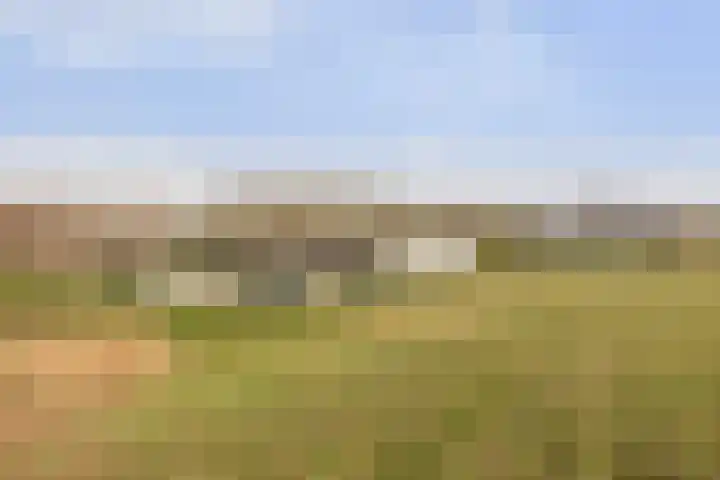 Veerweg 10 Numansdorp thumbnail 58