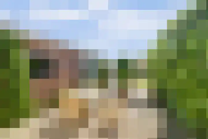 Veerweg 101 a Kamperland thumbnail 31