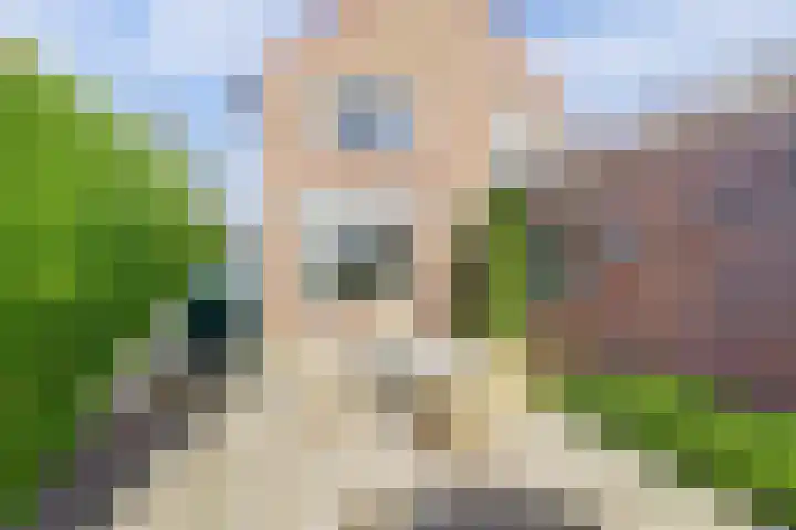 Veerweg 101 a Kamperland thumbnail 32