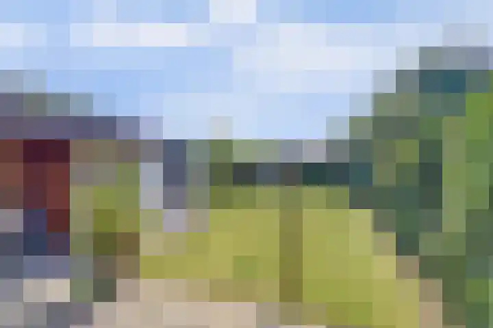 Veerweg 101 a Kamperland thumbnail 33