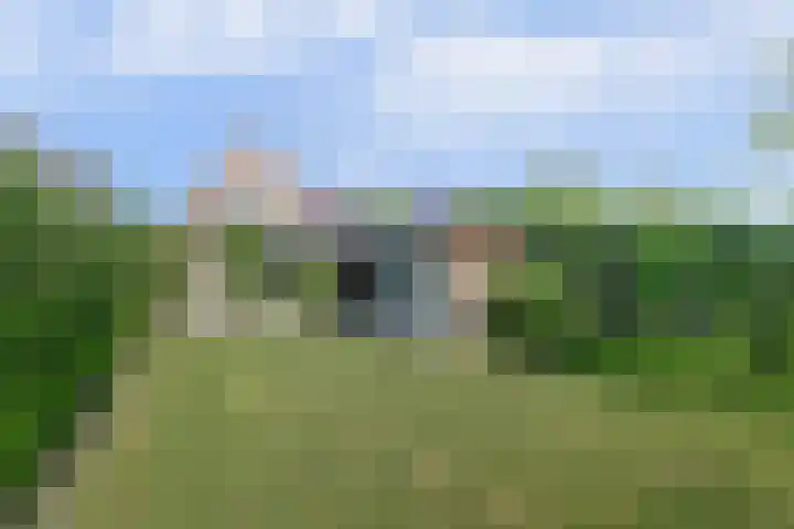 Veerweg 101 a Kamperland thumbnail 34