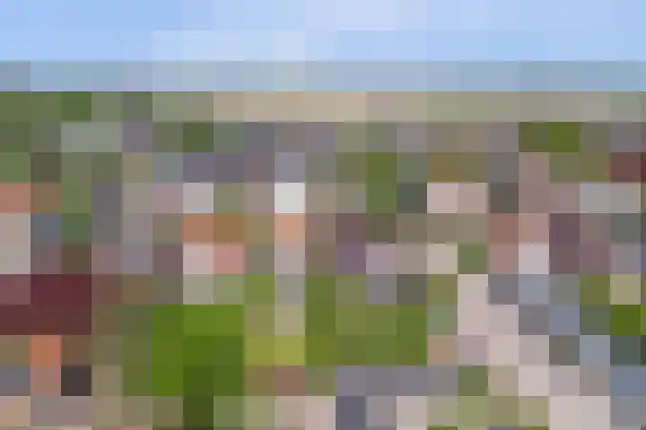 Veerweg 101 a Kamperland thumbnail 36