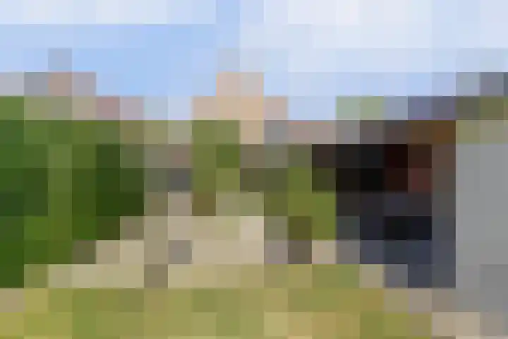 Veerweg 101 a Kamperland thumbnail 4