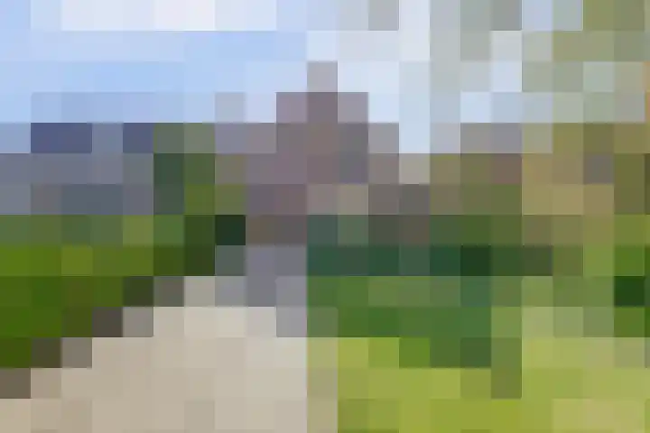 Veerweg 101 a Kamperland thumbnail 42