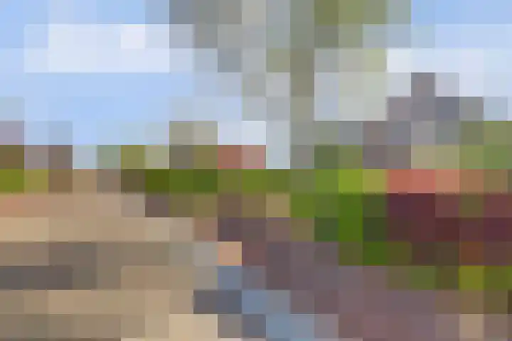 Veerweg 101 a Kamperland thumbnail 5